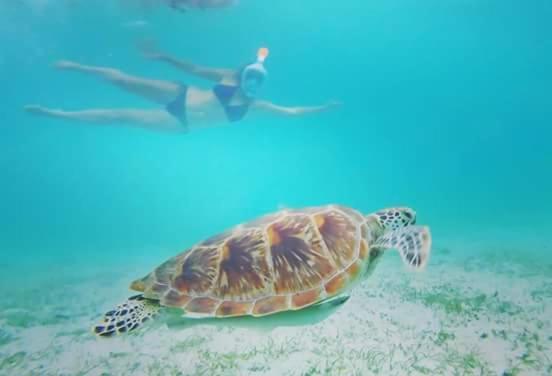 Acuario Beach Inn San Vicente  Εξωτερικό φωτογραφία